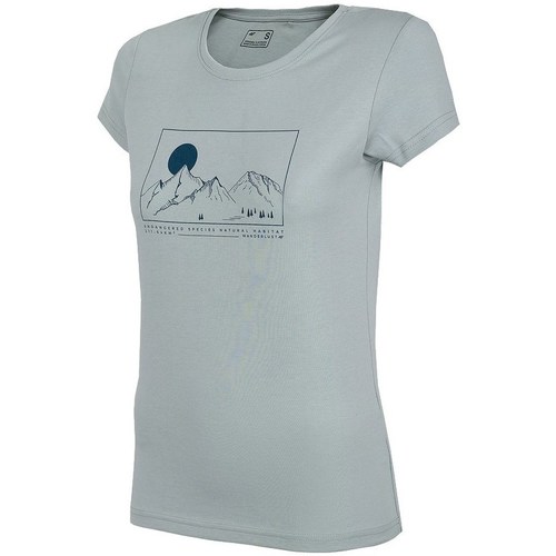 Vêtements Femme T-shirts manches courtes 4F TSD065 Gris