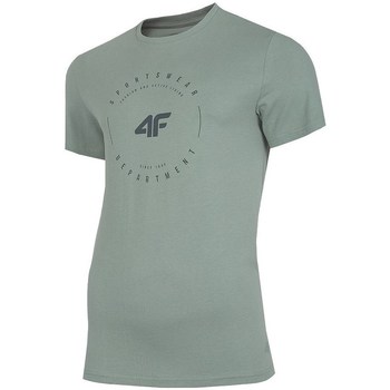 Vêtements Homme T-shirts manches courtes 4F TSM029 Gris