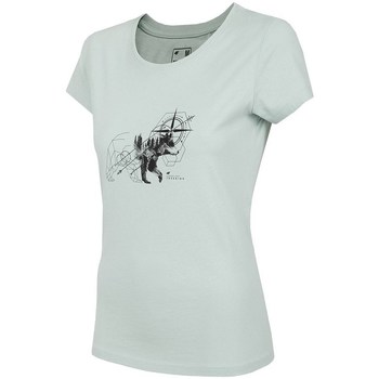 Vêtements Femme T-shirts manches courtes 4F TSD067 Gris