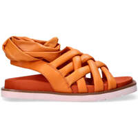 Chaussures Femme OFFREZ LA MODE EN CADEAU Elvio Zanon  Orange