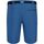 Vêtements Homme Shorts / Bermudas Regatta Xert III Bleu
