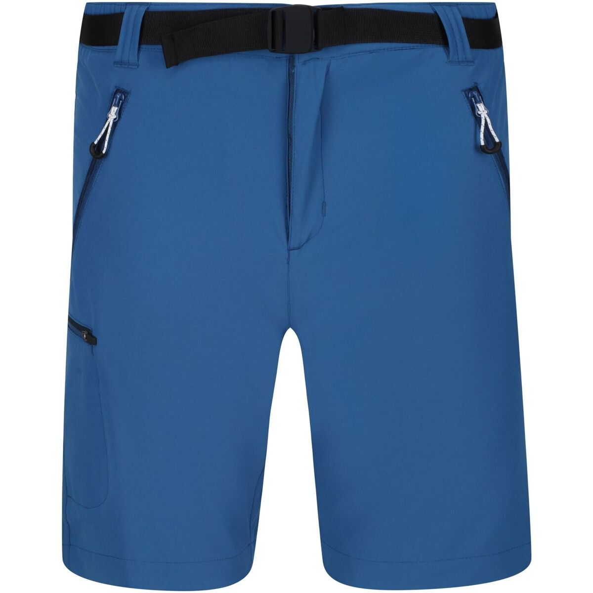 Vêtements Homme Shorts / Bermudas Regatta Xert III Multicolore