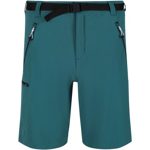 Vêtements Homme ribbed-knit Shorts / Bermudas Regatta  Bleu