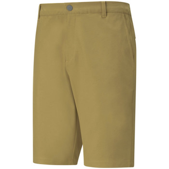 Vêtements Homme Shorts / Bermudas Puma 599246-07 Marron
