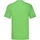 Vêtements Homme T-shirts manches courtes Fruit Of The Loom 61036 Vert