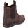 Chaussures Enfant Bottes Amblers Camberwell Multicolore