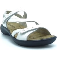 Chaussures Femme Sandales et Nu-pieds Westland IBIZA 70 Blanc