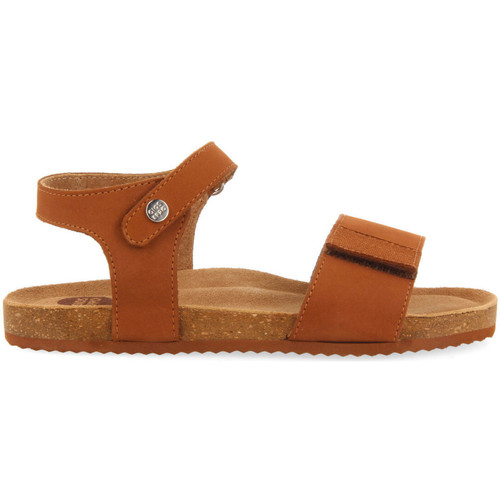 Chaussures Oh My Sandals Gioseppo LADSON Marron