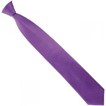 Vêtements Homme Cravates et accessoires Andrew Mc Allister cravate en soie smart violet Violet