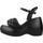 Chaussures Femme Sandales et Nu-pieds Elvio Zanon EQ5905X Noir