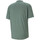 Vêtements Homme T-shirts & Polos Puma 599917-02 Vert