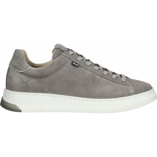 Chaussures Homme Baskets basses Sansibar Sneaker ny4572 Gris