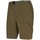 Vêtements Homme Shorts / Bermudas Trangoworld Shorts Limut VN Homme Fir Green Vert