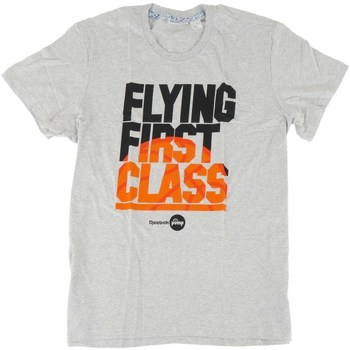 Vêtements Homme T-shirts manches courtes Lthr Reebok Sport Classic Flying 1ST Graphic Gris