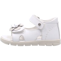 Chaussures Enfant Chaussures aquatiques Falcotto - Sandalo bianco UYUNI-0N01 Blanc
