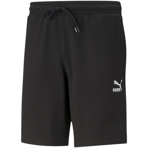 Vêtements Homme Shorts / Bermudas Puma 599810-01 Noir