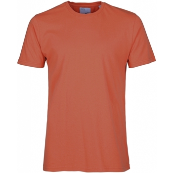 Vêtements T-shirts & Polos Colorful Standard T-shirt  Classic Organic dark amber dark amber