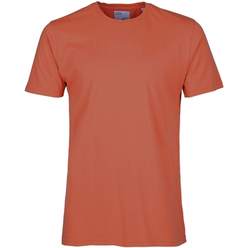 Vêtements T-shirts manches courtes Colorful Standard T-shirt  Classic Organic dark amber Rouge