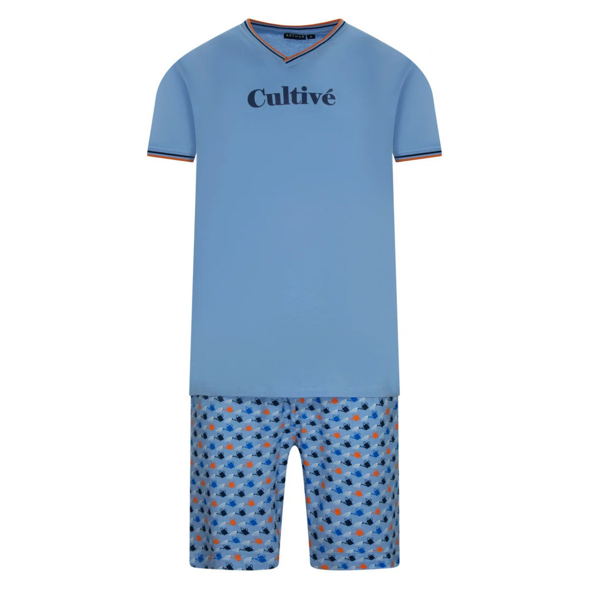 Vêtements Homme Pyjamas / Chemises de nuit Arthur 126029VTPE22 Bleu