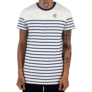 Vêtements Homme T-shirts manches courtes Cerruti 1881 Densi Bleu Marine