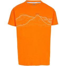 Vêtements Homme T-shirts manches courtes Trespass  Orange