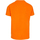 Vêtements Homme T-shirts manches longues Trespass  Orange