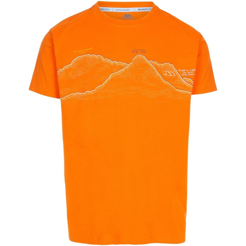 Vêtements Homme Polar Basketball T-Shirt Trespass Westover Orange