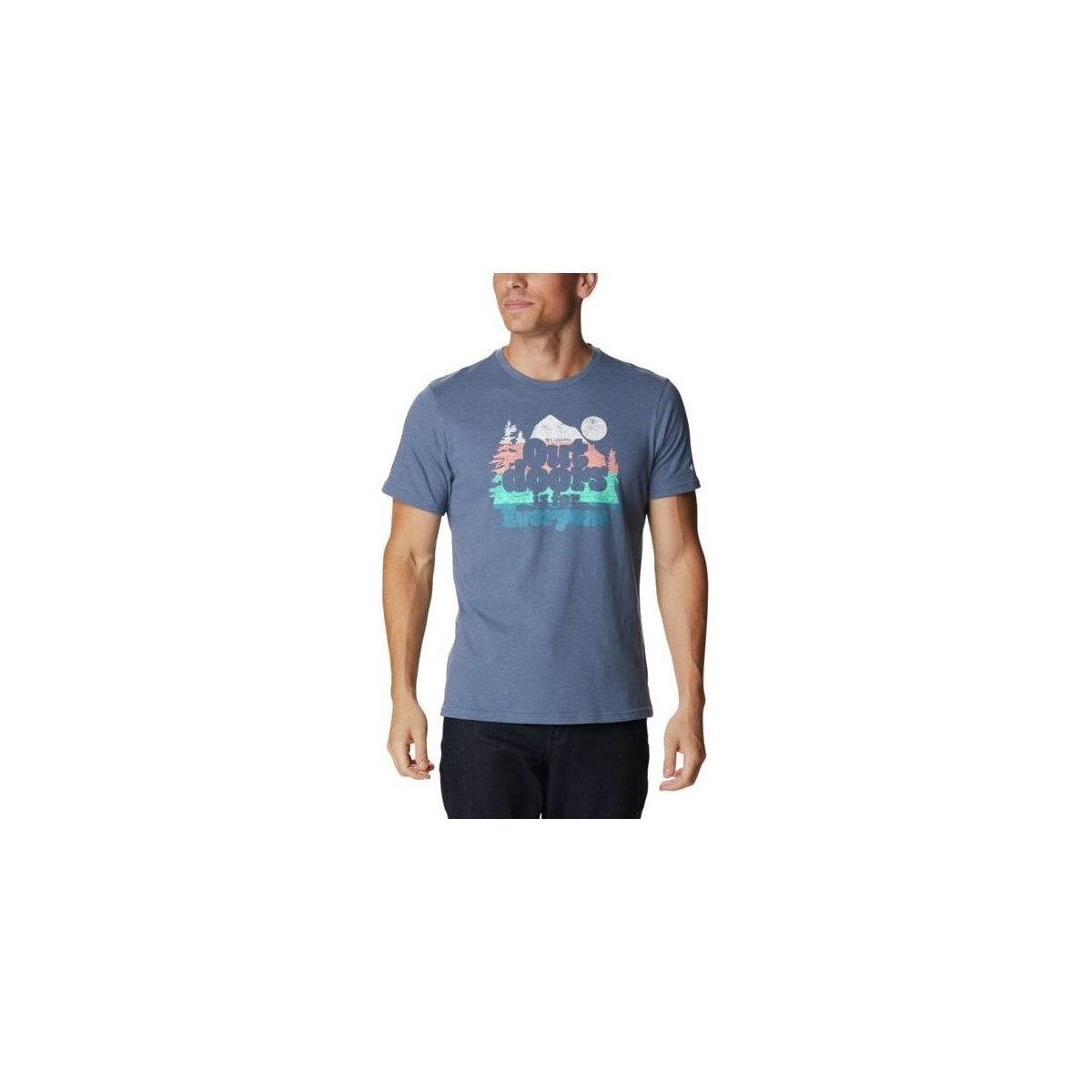 Vêtements Homme T-shirts manches courtes Columbia Alpine Way Graphic Bleu