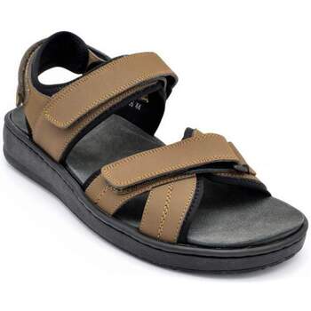 Chaussures Homme Sandales et Nu-pieds G Comfort 966 Marron