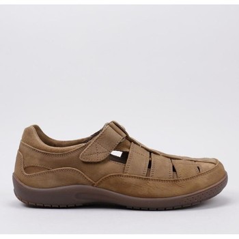 Chaussures Homme Malles / coffres de rangements Panama Jack MERIDIAN BASICS Marron