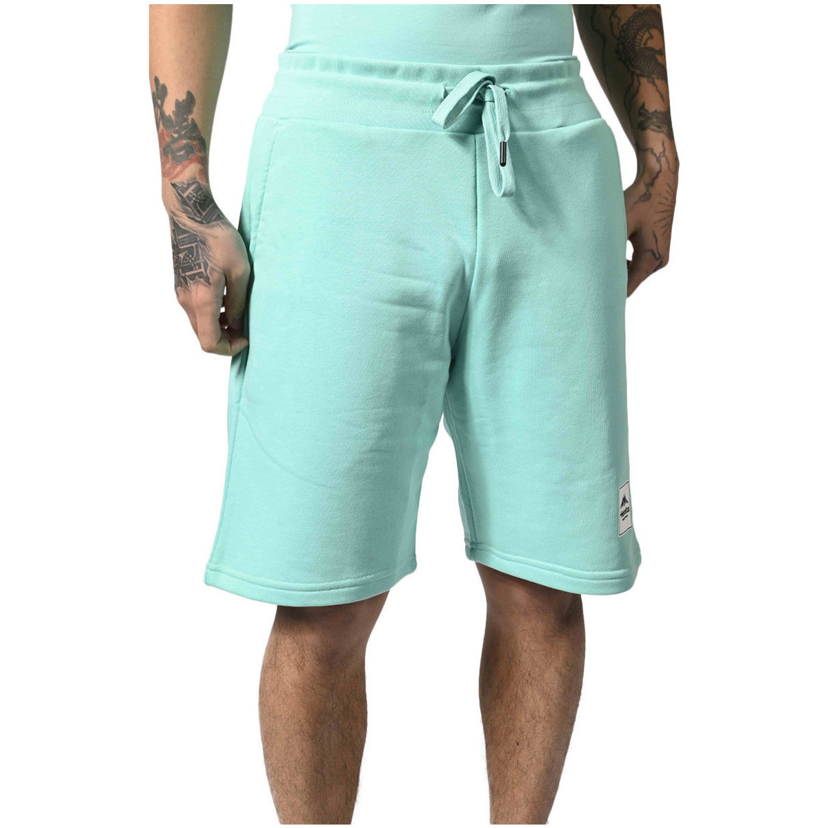 Vêtements Homme Shorts / Bermudas Helvetica CURRY Vert