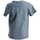 Vêtements Garçon T-shirts manches courtes Billtornade Hawaii Bleu