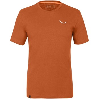 Vêtements Homme Sesvenna Wo/dst M Pn 25223 Salewa Pure Dolomites Hemp Men's T-Shirt 28329-4170 Orange