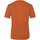 Vêtements Homme T-shirts & Polos Salewa Pure Dolomites Hemp Men's T-Shirt Elite 28329-4170 Orange