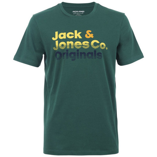 Vêtements Homme T-shirts & Polos Jack & Jones TEE-SHIRT sunice HOMME - TREKKING GREEN - L Multicolore