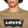 Vêtements Homme T-shirts manches courtes Levi's Graphic Marron