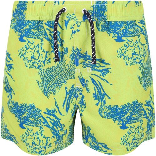 Vêtements Garçon Maillots / Shorts de bain Regatta Skander II Multicolore