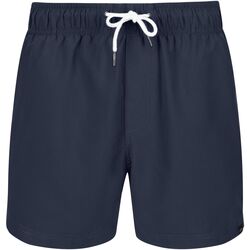 Vêtements Homme Shorts / Bermudas Regatta Mawson II Bleu