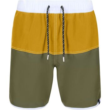 Vêtements Homme Shorts / Bermudas Regatta Benicio Multicolore