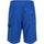 Vêtements Homme Shorts / Bermudas Regatta Hotham IV Multicolore