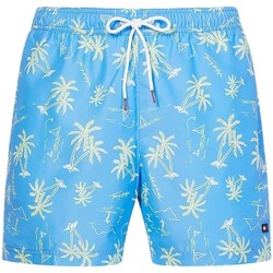 Vêtements Homme Maillots / Shorts de bain Tommy Hilfiger Maillot de Bain  Ref 56905 0YD Bleu Bleu