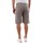 Vêtements Homme Shorts / Bermudas Bomboogie BMCHUM T CVF-07 DOVE BROWN Blanc