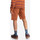 Vêtements Homme Shorts / Bermudas Element Howland Classic Marron