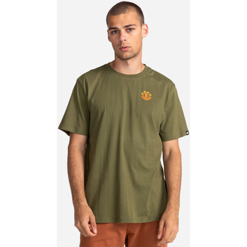 Vêtements Homme T-shirts & Polos Element Kass vert - winter moss