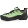 Chaussures Homme Randonnée Salewa Alp Trainer 2 Gore-Tex® Men's Shoe 61400-5660 Vert