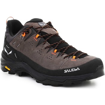 Chaussures Homme Randonnée Salewa Alp Trainer 2 Gore-Tex® Men's Peregrine Shoe 61400-7953 Multicolore