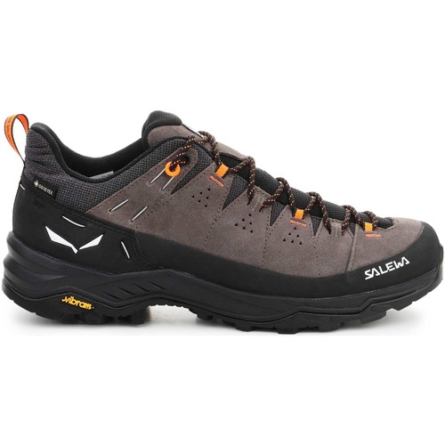 Chaussures Homme Chaussures de sport Homme | Alp Trainer 2 Gore-Tex® Men's Shoe 61400-7953 - LV95983