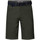 Vêtements Homme Shorts puff-sleeved / Bermudas Petrol Industries M-1020-SHO501 Vert