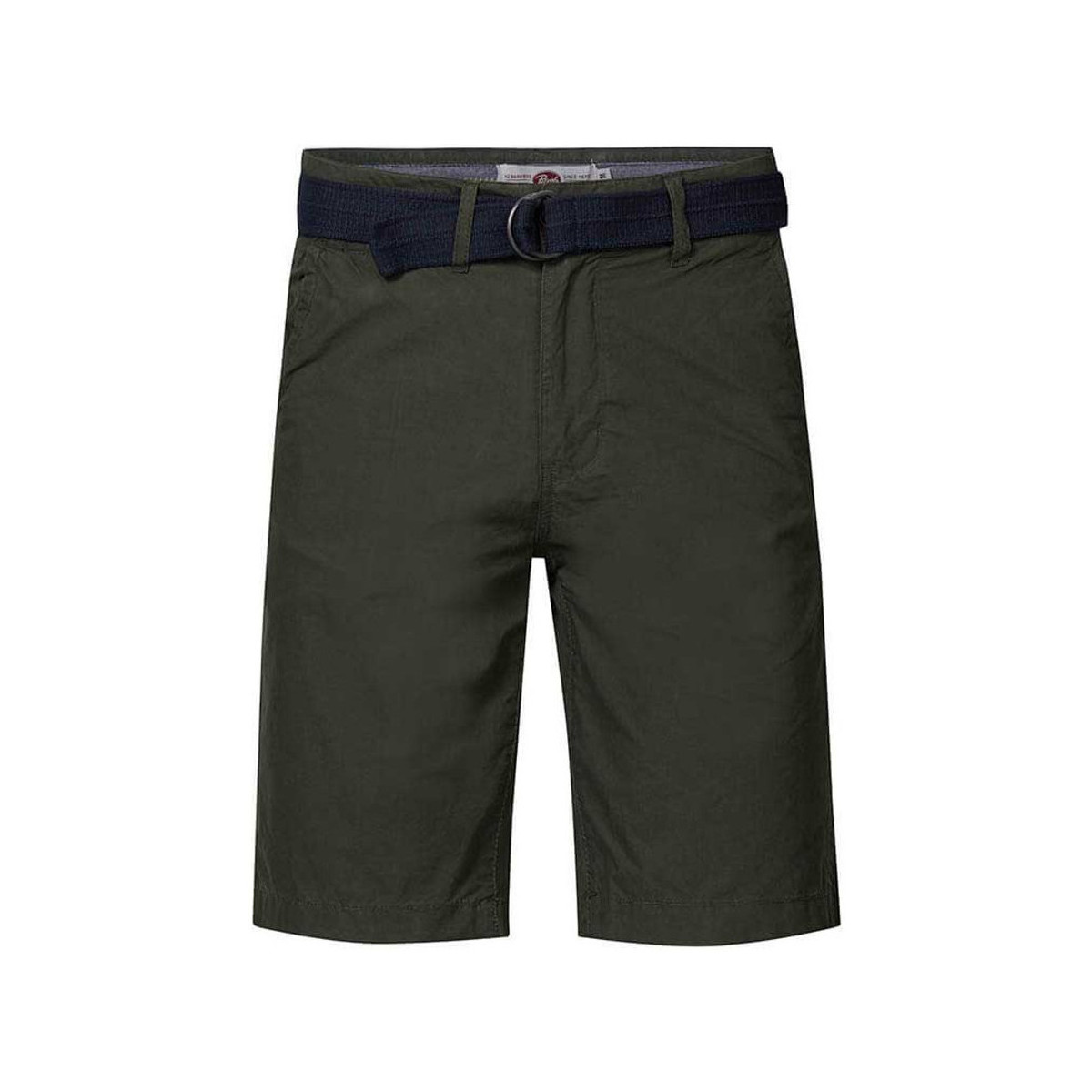 Vêtements Homme Shorts puff-sleeved / Bermudas Petrol Industries M-1020-SHO501 Vert