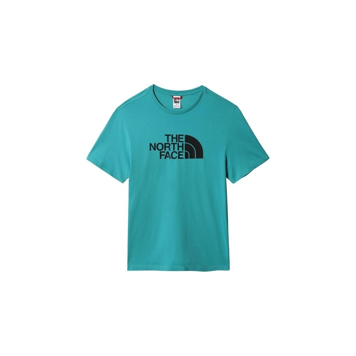 Vêtements Homme T-shirts & Polos The North Face M SS EASY TEE Vert